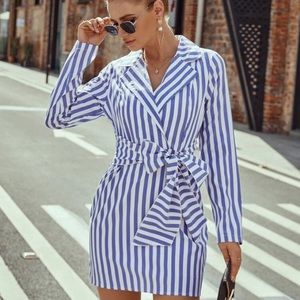 Fitted Stripped Dress